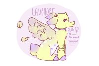lavender ,,