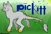 Pickitts V.1 [UNDER RECONSTRUCTION]