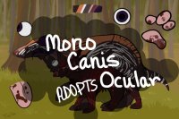 Mono Canis Ocular ADOPTS - closed