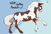 WVP capture a pony #5 for loglove