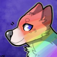 Rainbow Dog