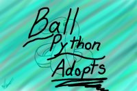 Ball Python Adoptables