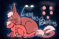 Lumos Bunnies (we're back!)