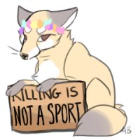 killing is not a sport