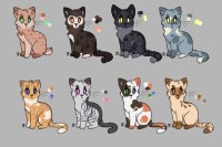 Cat Adopts > Batch > #001 >