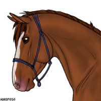 Horse Avatar