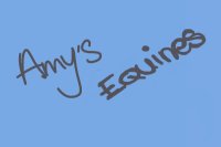 Amy's Equines