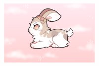 lil' bunny