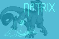 Natrix Dragons, open species!