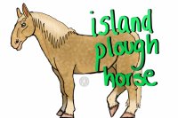 Island Plough Horse Adoption Centre