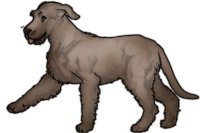 Sweetnose Mastiff #131