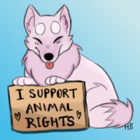 I Support Animal Rights