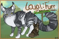 Loyal Furr : Maine Coon Adopts V.2 [Looking for Staff]