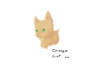 Orange Cat :3