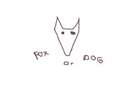 Fox or dog