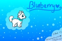 Blueberry Doggo