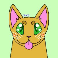 Draco's Chibi Cat Avatar!