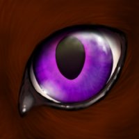 purple eye cat