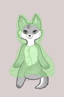 [T] "Arctic Wolf With Light Green Rain Coat"