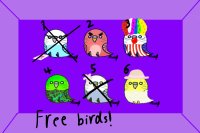 NEW!! little birds! FREE!