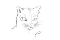 Cat drawing {fail}
