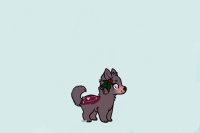 MY Mistletoe pup