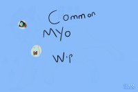 Common MYO WIP