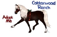 CWHR's Sleigh Ride- Black Forest Horse
