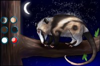 (76)ARASHI (76)ARASHI