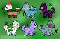 Pup adoptables!