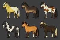 PONIES FOR SALE