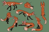 Fox char