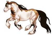 (#320) Buckskin Dun Overo (#320) Buckskin Dun Overo