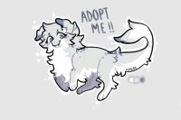 Little Avian Dragon - JBD Adopt Little Avian Dragon - JBD Adopt
