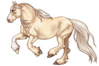 (#342) Sooty Perlino Calico Tobaino (#342) Sooty Perlino Calico Tobaino