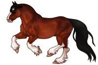 (#344) Bay (#344) Bay