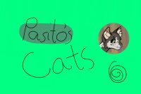 Pasito's cats