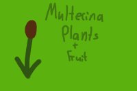 Multerina Plants and fruit