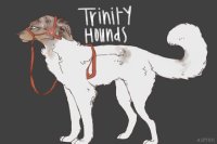 Trinity Adopt #06