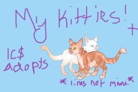 1C$ Kitty Adopts!