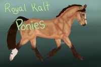 Royal Kalt Ponies - closed/ in hiatus