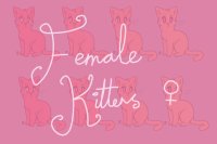 Cotton x Harvey Breeding: Female Kittens