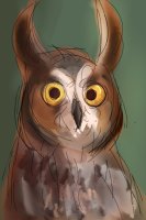 Quick Long Eared Owl Sketch