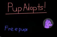 Pup Adopts