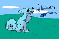 Hunter the Turquoise Doggem