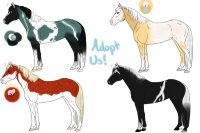 We need homes! [3/4 Available!]