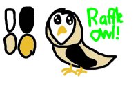 Raffle Owl!!!
