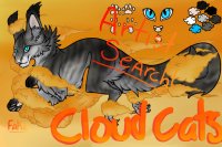 Cloud Cats! |~Artist Search~|
