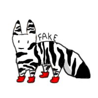 Entry Number One: Zebra SockFox
