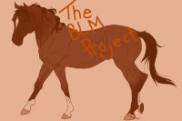 THE BLM PROJECT - Adopt/Sim - WIP